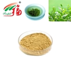 Instant Green Tea Powder Anti Oxidation And Physiological Activity