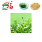 Instant Green Tea Powder Anti Oxidation And Physiological Activity