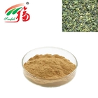HACCP Instant Oolong Tea Extract Powder Catechins And Polyphenols Food Additive
