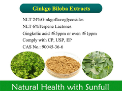 Ekstrak Ginkgo Biloba