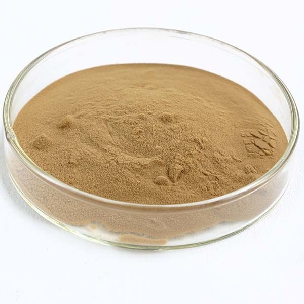 Coriolus Versicolor Ekstrak 10% ~ 50% Polysacchrides PSK PSP Turkey Tail Ekstrak Jamur