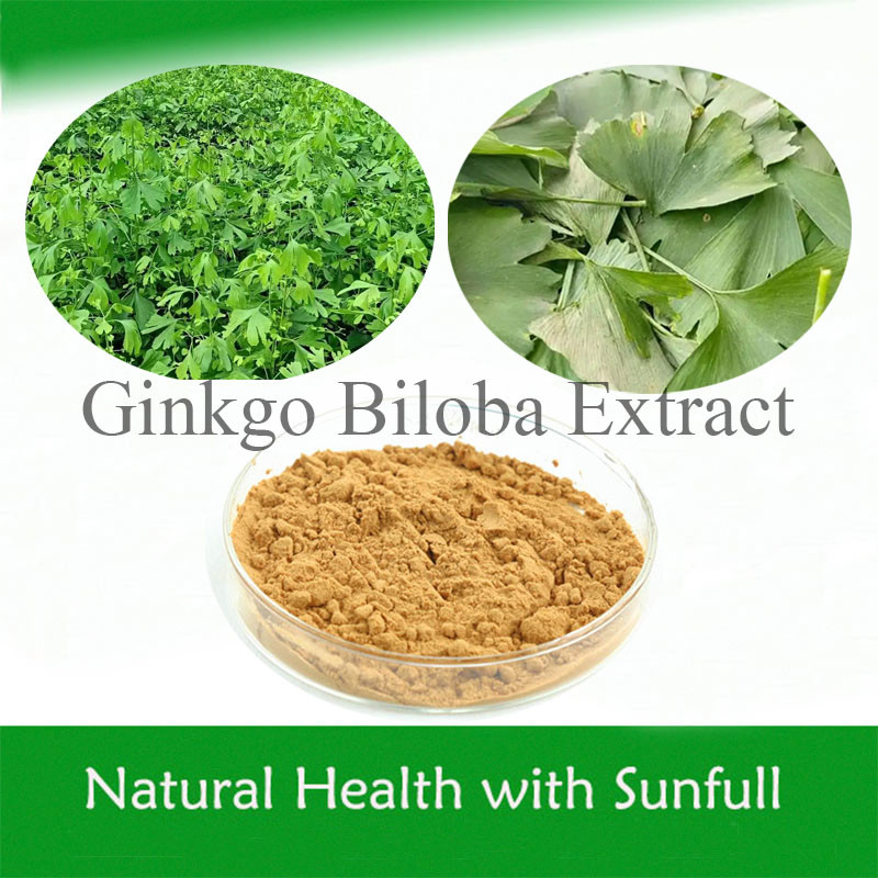 Ginkgo Biloba PE 24% Total Flavon 6% Terpene Lakton 5 ppm untuk Kesehatan Jantung