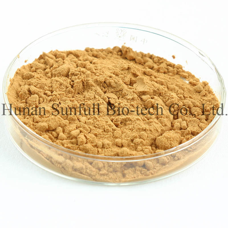 100% Ekstrak Thistle Susu Alami Bubuk Dari Benih Silybum Marianum Untuk Pertumbuhan Sel Hati