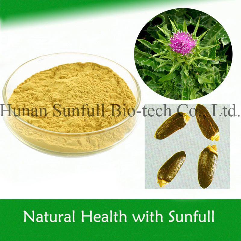 100% Ekstrak Thistle Susu Alami Bubuk Dari Benih Silybum Marianum Untuk Pertumbuhan Sel Hati