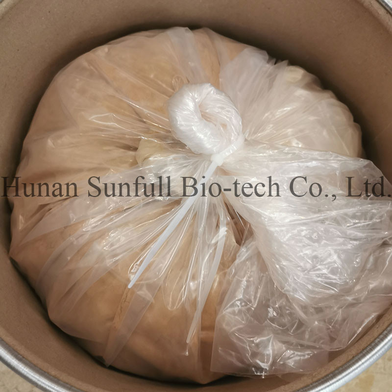 Ekstrak Daun Ginkgo Biloba 24/6 CAS 90045-36-6 Cp USP561 Ep EC396