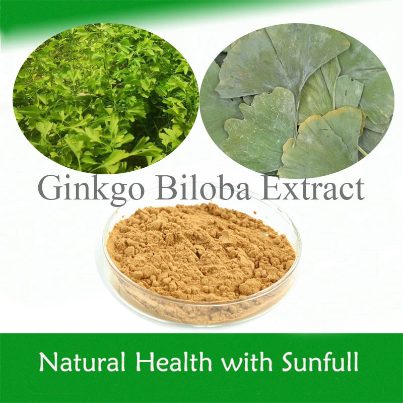 Ekstrak Daun Ginkgo Biloba 24/6 CAS 90045-36-6 Cp USP561 Ep EC396