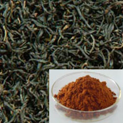Instant Black Tea Powder, aroma teh hitam yang kaya dengan cairan berwarna amber.