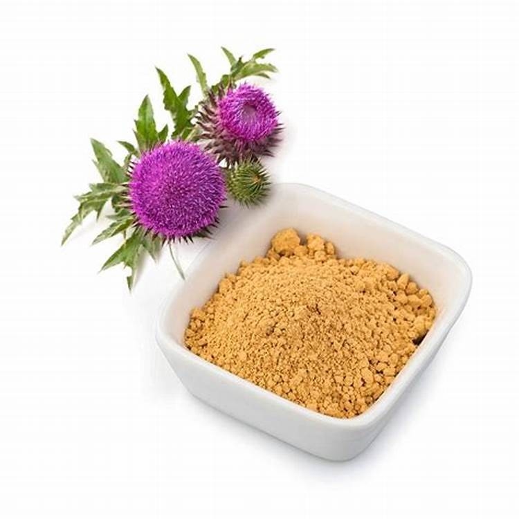 Tumbuhan Herbal Thistle Ekstrak 80% silymarin  Penjaga Alam untuk Kesehatan Hati & Detoxification