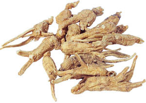 Atractylodes Rhizome Extract 10: 1 The Gold Standard Untuk Vitalitas Darah & Kesehatan Wanita