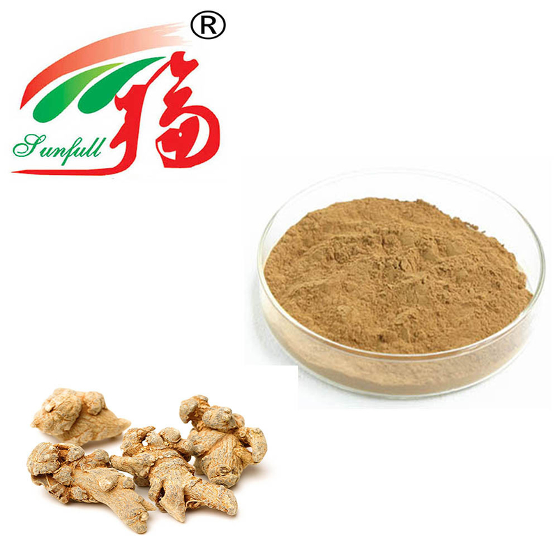 Atractylodes Rhizome Extract 10: 1 The Gold Standard Untuk Vitalitas Darah & Kesehatan Wanita