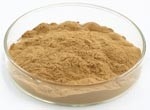 201 Aloe Vera Ekstrak Aloe Vera Gel Freeze Dried Powder untuk kosmetik