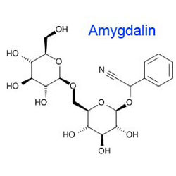 Amygdalin alami 98% Putih Kristal Bubuk Bitter Almond Bitter Apricot Seed Extract untuk Intermediate Farmasi