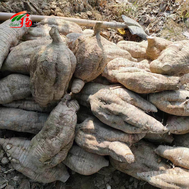 Ekstrak Akar Kudzu Alami Pabrik China Puerarin Dengan 25% 60% 98% Untuk Pilihan