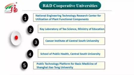 Ekstrak Agaric Madu Berwarna Kuning Kecokelatan halus dengan Kelarutan Baik dalam Air untuk Aplikasi Berkualitas Pangan