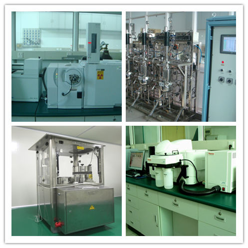 Cordyceps Jamur Bubuk 80 Mesh untuk Dukungan Kekebalan 25kg Drum