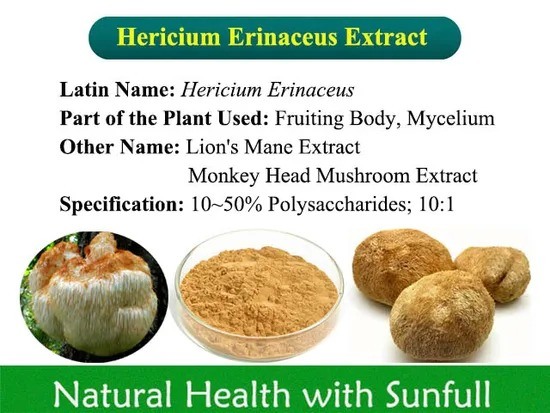 Hericium Erinaceus Extract 50% Polysaccharides untuk produk perawatan kesehatan dan penyembuhan penyakit lambung dalam bubuk kuning coklat halus