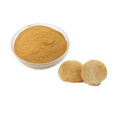 Hericium Erinaceus Extract 50% Polysaccharides untuk produk perawatan kesehatan dan penyembuhan penyakit lambung dalam bubuk kuning coklat halus