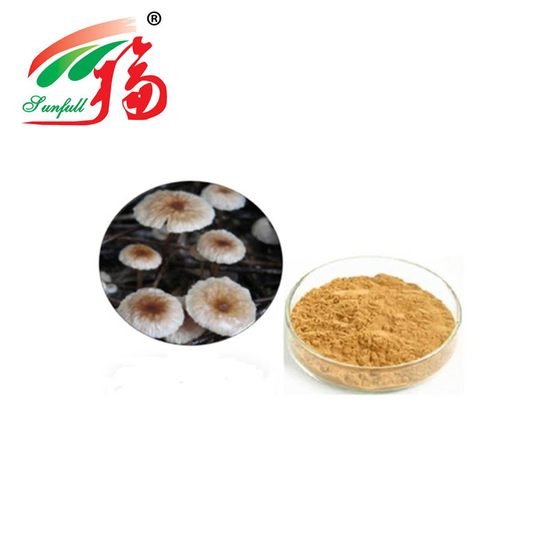 Bubuk Ekstrak Marasmius Androsaceus Berkualitas Tinggi dengan Ukuran 80 Mesh, Umur Simpan 2 Tahun, dan Kapasitas Produksi 20t/Tahun