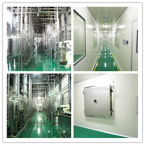 Morchella Esculenta ekstrak bubuk dengan 100% melalui 80 Mesh 2 tahun umur dan 20 ton / tahun kapasitas produksi