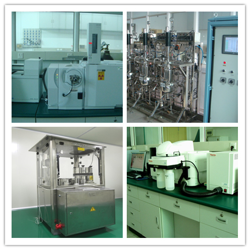 Morchella Esculenta ekstrak bubuk dengan 100% melalui 80 Mesh 2 tahun umur dan 20 ton / tahun kapasitas produksi