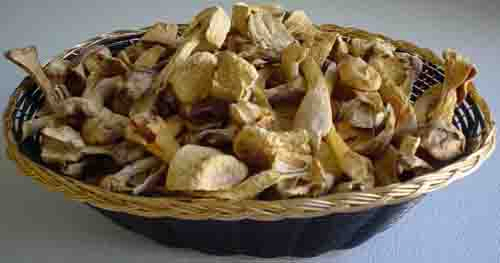 Ekstrak Agaricus Blazei 40% Polisakarida untuk Makanan Fungsional dan Produk Perawatan Kesehatan