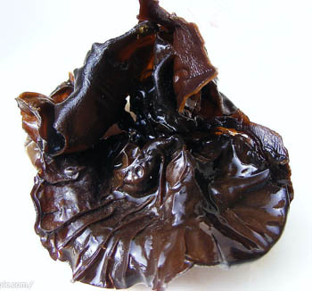 Black Fungus Extract Powder dengan 20% Polysaccharides larut dalam air untuk mengatur gula darah dan makanan fungsional hypolipidemic