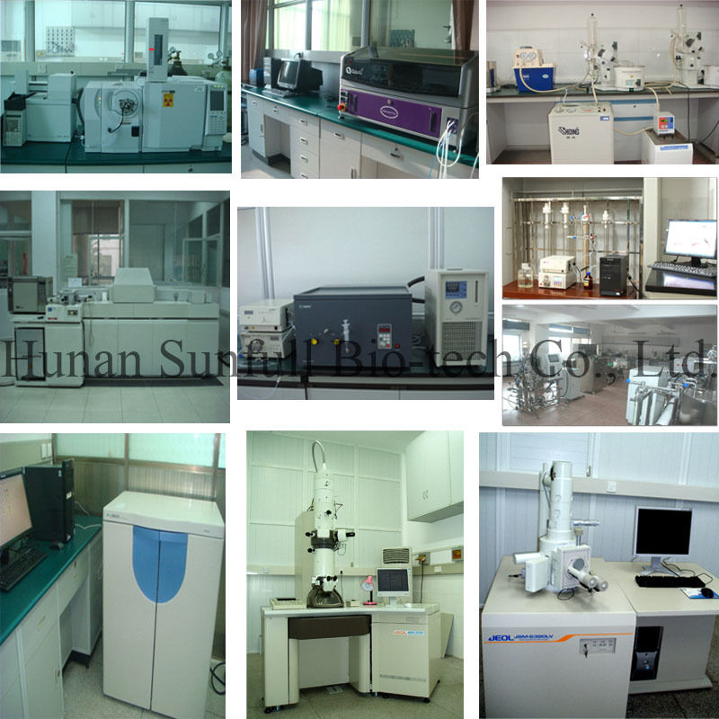 Berberine Hydrochloride 97% 98% Serbuk Kristalin Kuning dengan Sifat Antibakteri dan Antiinflamasi dari Phellodendron Chinense Extract