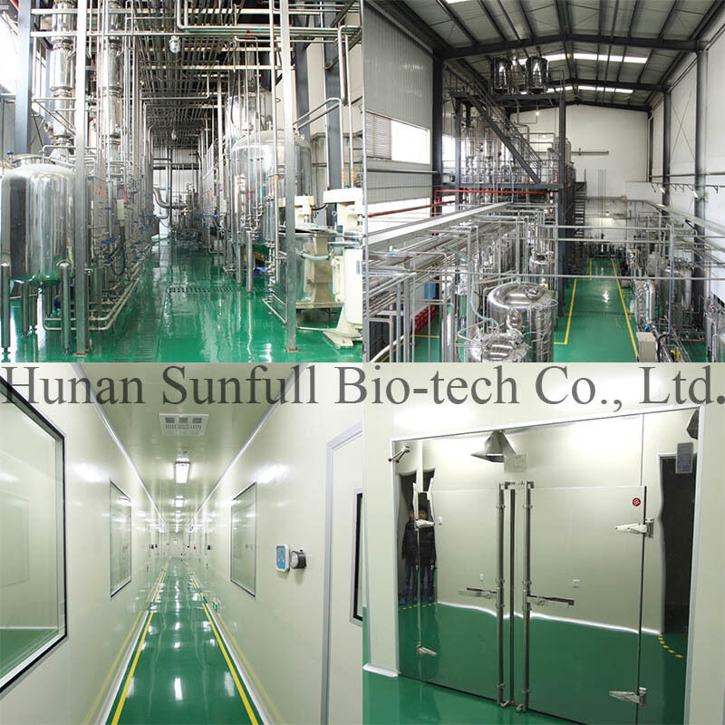 100% Berberine Hidroklorida Alam 97% 98% dari Akar Coptis chinensis dengan Nomor CAS 633-65-8