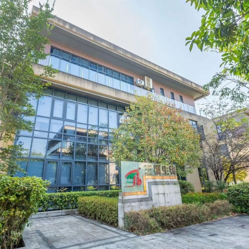 Bubuk Ekstrak Chaga 40% Polisakarida Bubuk Kuning Cokelat Halus untuk Aplikasi Makanan dan Perawatan Kesehatan