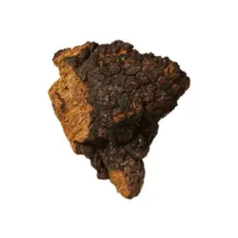 Ekstrak Chaga 30% Polysaccharides Bubuk Kuning Kecokelatan halus untuk produk makanan dan perawatan kesehatan fungsional