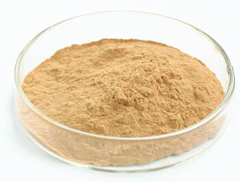 Bubuk Ekstrak Jamur Tiram dengan 50% Polisakarida untuk Makanan Fungsional dan Manfaat Anti-Tumor