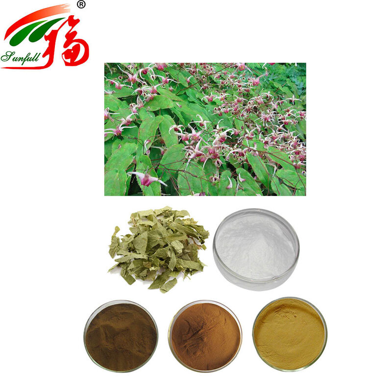Ekstrak Epimedium Alami 100% Langsung Pabrik 30% Icariin untuk Suplemen Peningkat Seks dan Kesehatan