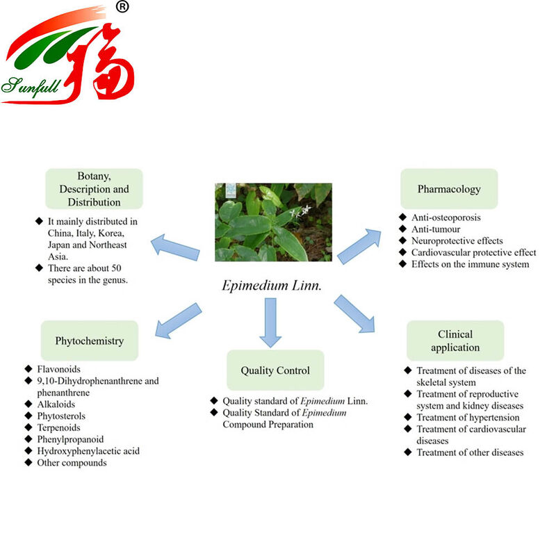 Ekstrak Epimedium Alami 100% Langsung Pabrik 30% Icariin untuk Suplemen Peningkat Seks dan Kesehatan
