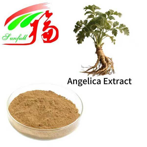 Angelica Extract  1% 1.5% Liguistlide 0.1% 0.3% Ferulic Acid Chinese Dong Quai Extract