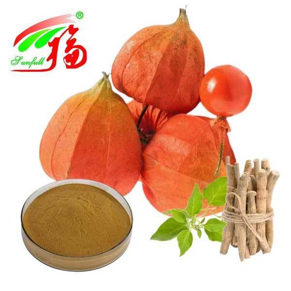 Withania Somnifera Afrika Selatan Withanolides 5% Ekstrak Akar Ashwagandha Makanan Produk Kesehatan