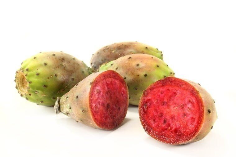Ekstrak Kaktus (Batang, Buah & Daun) - Ekstrak Tumbuhan Alami Melembapkan & Antioksidan untuk Perawatan Kulit, Kosmetik dan Produk Fungsional