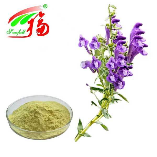Health Care Ingredients 10%~95% Baicalin Baicalein Powder Scutellaria baicalensis Georgi Extract Radix Scutellariae Extract Baikal Skullcap Extract