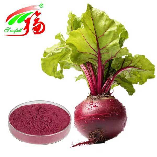 Ekstrak Akar Bit 1%-25% Ekstrak Betanin Bit Beta Vulgaris L. Produk Kesehatan