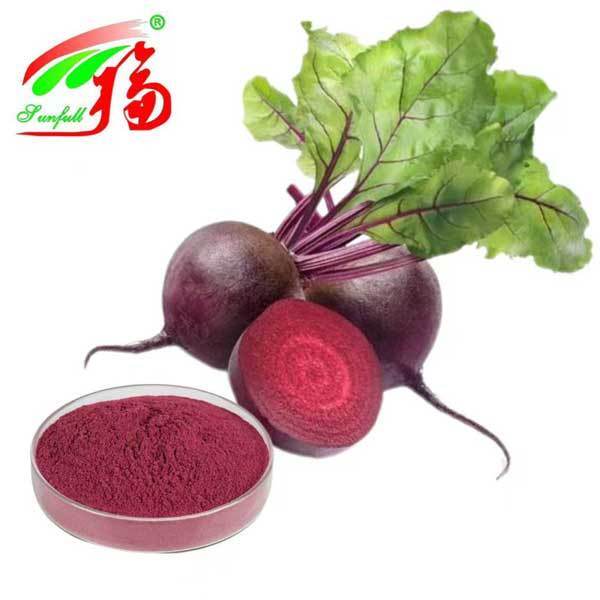 Ekstrak Akar Bit 1%-25% Ekstrak Betanin Bit Beta Vulgaris L. Produk Kesehatan