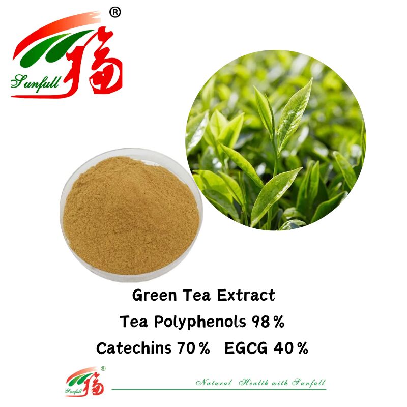 Hunan Sunfull Organic Herbal Ingredients Theaflavins 10~40% EGCG 40% Catechins 70% Teh Polifenol 98% Ekstrak Teh Hijau
