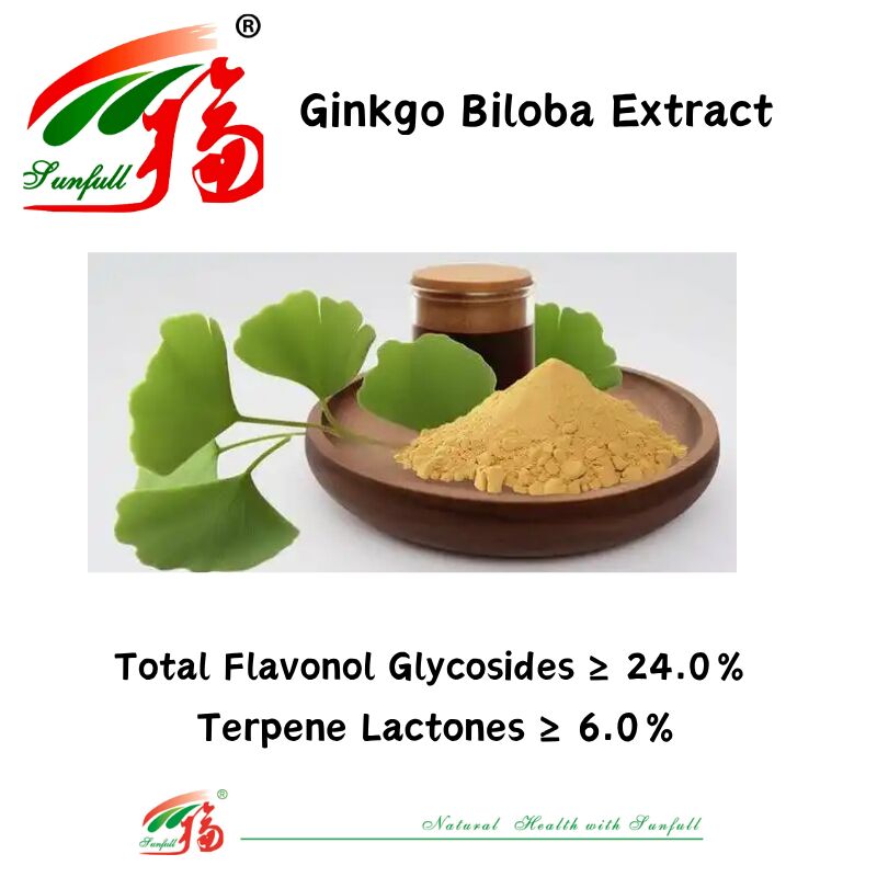 100% Alami Larut Dalam Air 24% Ginkgolides Bubuk Ekstrak Daun Ginkgo Biloba untuk Suplemen Diet