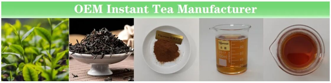 Harga Terbaik Kelarutan Baik Sampel Gratis Bubuk Teh Larut Dingin untuk Minuman Teh Hijau Instan/Teh Hitam/Teh Hitam/Teh Oolong/Bubuk Ekstrak Teh Hitam