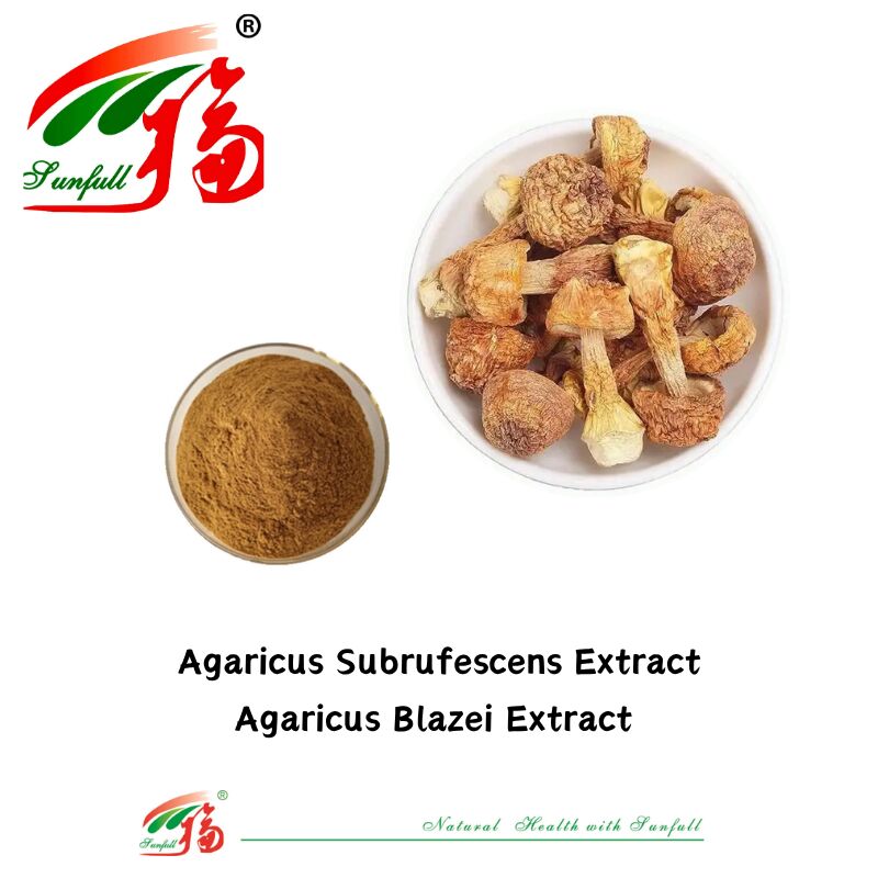 Hunan Sunfull Suplemen Gizi Agaricus Subrufescens/Hericium Erinaceus/Antrodia/Cordyceps Sinensis/Coriolus Versicolor/Pulver Ekstrak Jamur