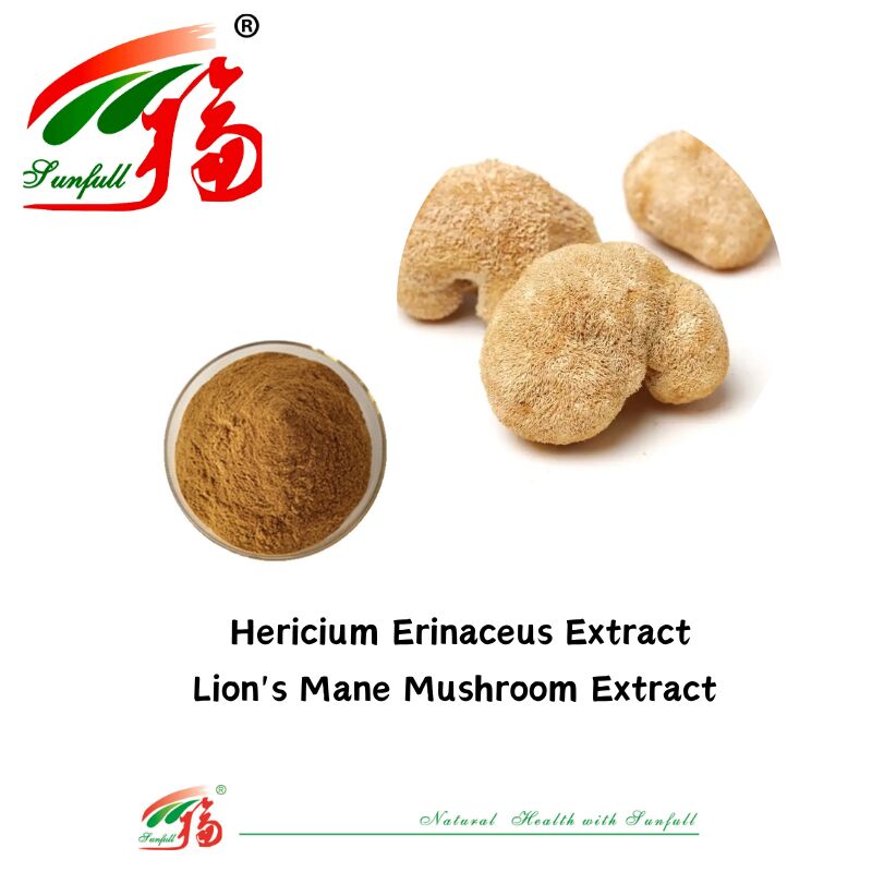Hunan Sunfull Suplemen Gizi Agaricus Subrufescens/Hericium Erinaceus/Antrodia/Cordyceps Sinensis/Coriolus Versicolor/Pulver Ekstrak Jamur