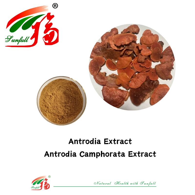 Hunan Sunfull Suplemen Gizi Agaricus Subrufescens/Hericium Erinaceus/Antrodia/Cordyceps Sinensis/Coriolus Versicolor/Pulver Ekstrak Jamur