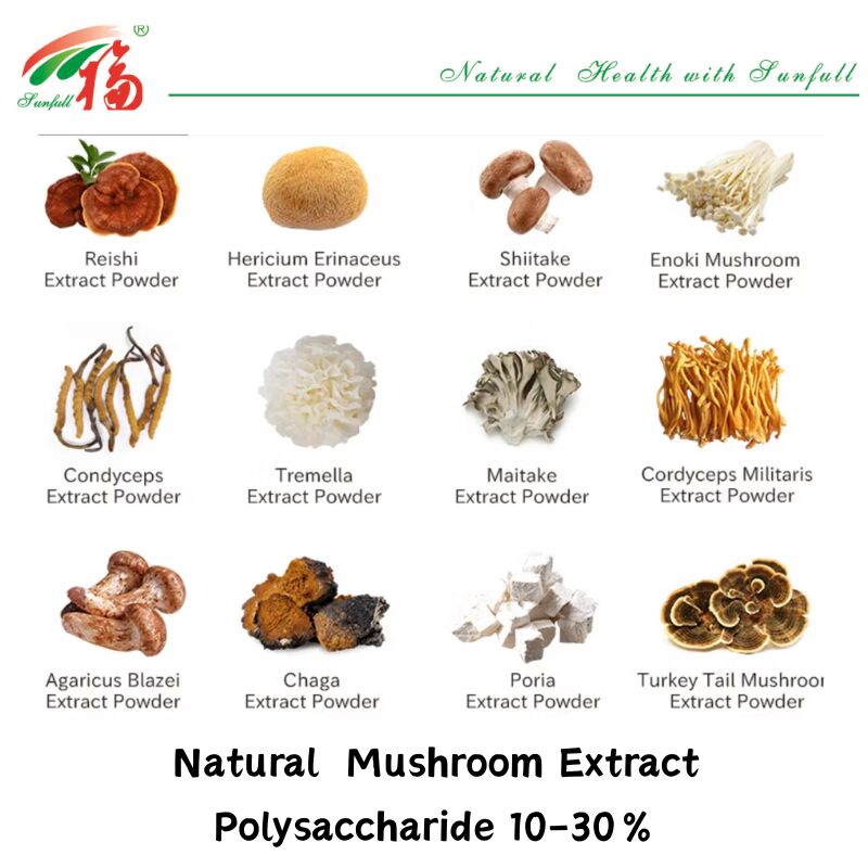 Suplemen Makanan Bahan Organik Alami Polisakarida 10-30% Phellinus Igniarius /Ganoderma Lucidum/Chaga/Maitake / Bubuk Ekstrak Jamur Shiitake