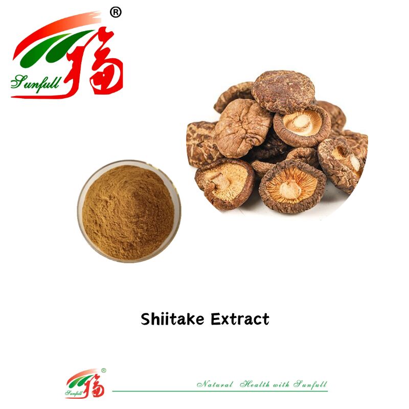 Suplemen Makanan Bahan Organik Alami Polisakarida 10-30% Phellinus Igniarius /Ganoderma Lucidum/Chaga/Maitake / Bubuk Ekstrak Jamur Shiitake