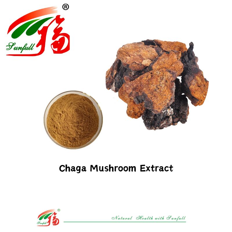 Suplemen Makanan Bahan Organik Alami Polisakarida 10-30% Phellinus Igniarius /Ganoderma Lucidum/Chaga/Maitake / Bubuk Ekstrak Jamur Shiitake