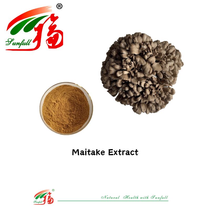 Suplemen Makanan Bahan Organik Alami Polisakarida 10-30% Phellinus Igniarius /Ganoderma Lucidum/Chaga/Maitake / Bubuk Ekstrak Jamur Shiitake