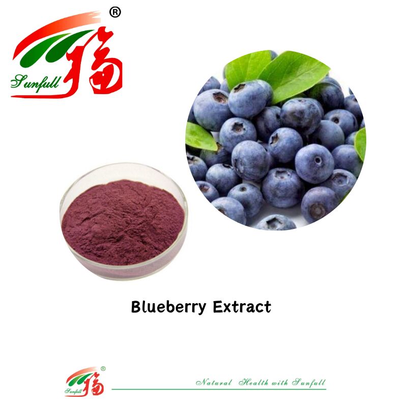 Pasokan Pabrik Hunan Sunfull Antioksidan Alami Berkualitas Tinggi Antosianin 1%-25% Billberry/Elderberry/Acai Berry/Blackcurrant/Ekstrak Blueberry